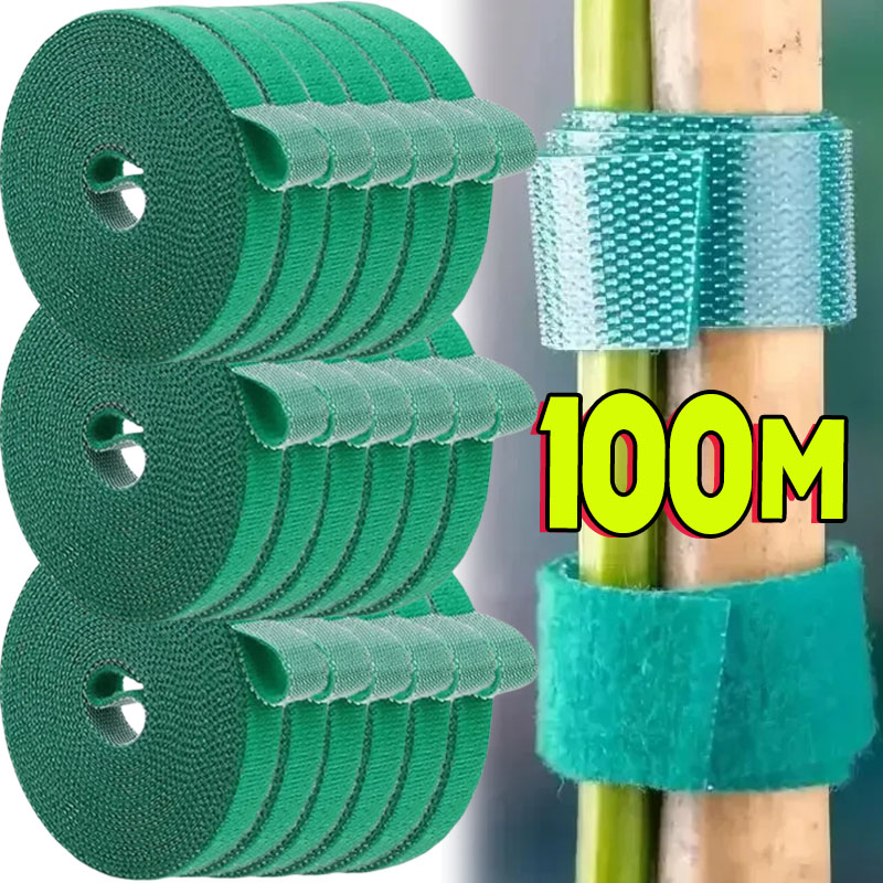 1/100M Pianta autoadesiva rego - Gear Tie Reusable recensione e prezzo