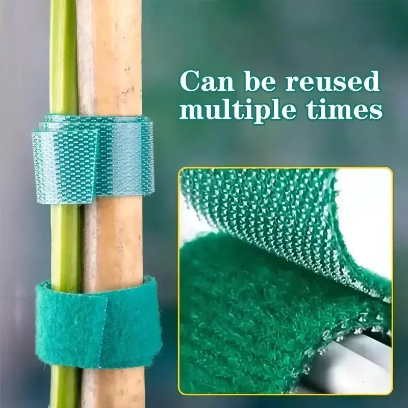 1/100M Pianta autoadesiva rego - Gear Tie Reusable recensione e prezzo